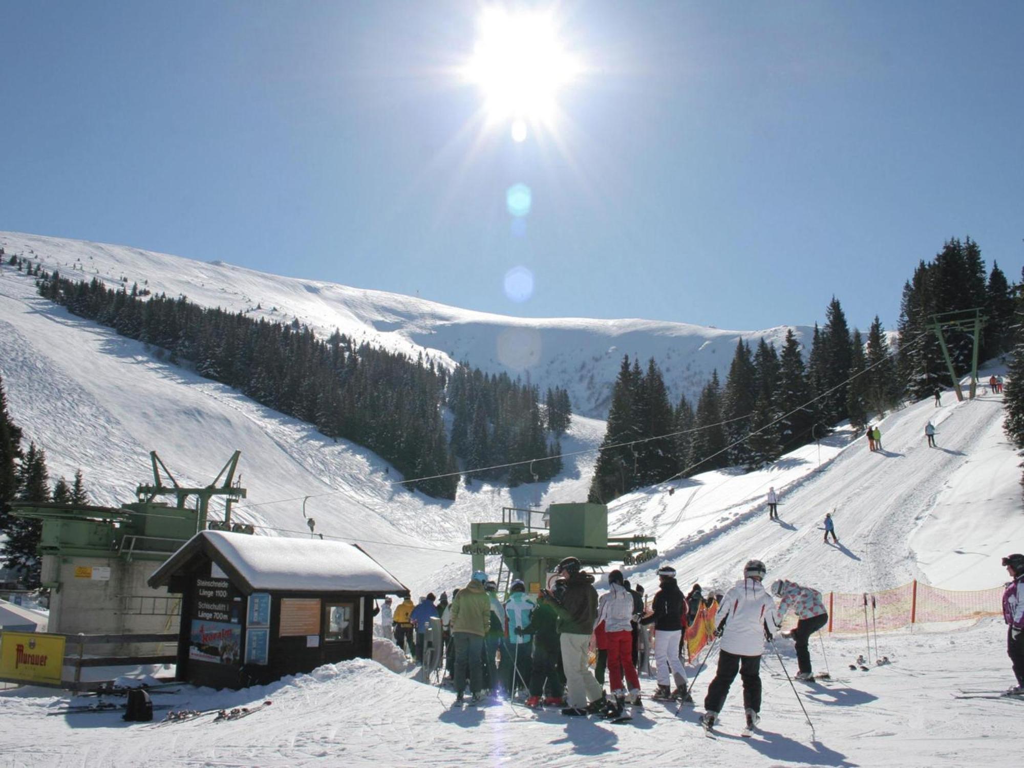 Elsenbrunn Chalet Bergoaseヴィラ エクステリア 写真