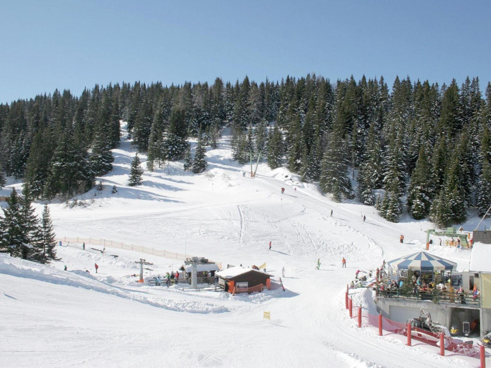 Elsenbrunn Chalet Bergoaseヴィラ エクステリア 写真